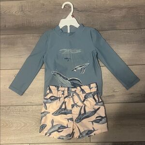 Carters Whale Swim Trunks & Rashguard